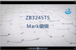 4.Mark编辑-ZB3245TS